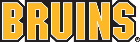 Boston Bruins 1995-2007 Wordmark Logo t shirts iron on transfers